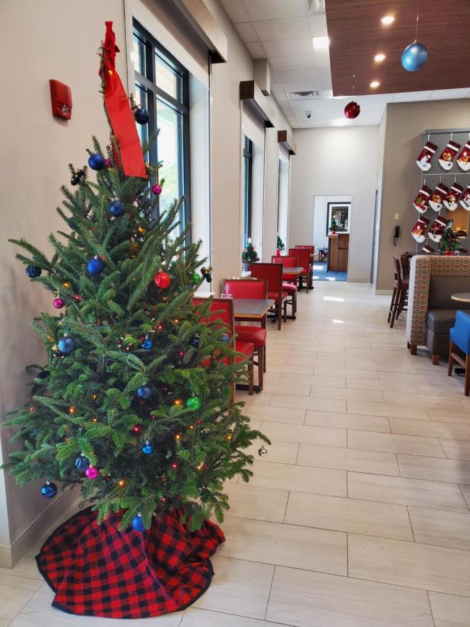 Holiday Inn Express St. Augustine - Vilano Beach By Ihg Exterior foto